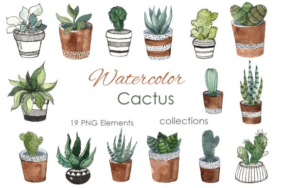 Tropical Watercolor Cactus Clipart: Elevate Your Creative Projects