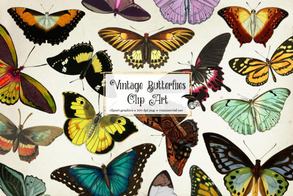Unleash Creativity with Vintage Butterflies Clip Art
