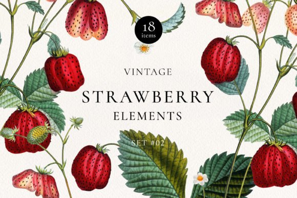 Vintage Strawberry Plant DIY Elements: A Design Guide