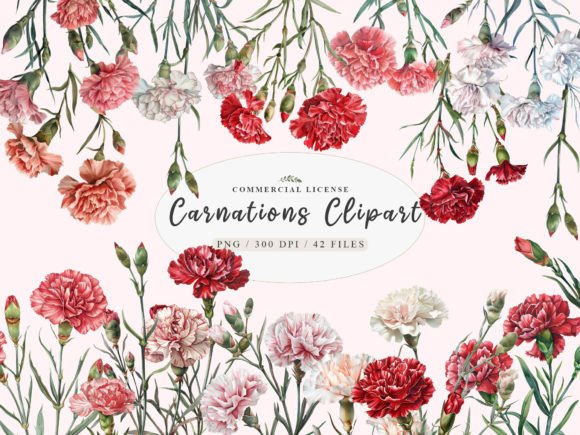 Watercolor Carnation Clipart: Red Flower Design